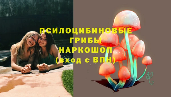 прущая мука Куйбышев